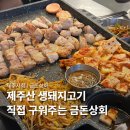 보통상회 | 금돈상회 제주시청 맛집, 항정살·가브리살·생삼겹살 후기