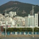안락교 티스토리