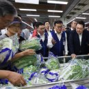 창동 농협하나로마트 앞 이미지