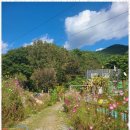 밀양힐링펜션 | 밀양계곡펜션 자연 속 진정한 힐링을 찾다: 밀양 미르피아 펜션 후기