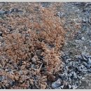 새중앙교회 이미지