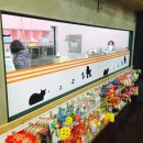 개꿈꾸는 고양이 이미지