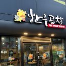 (주)진우식품 | [용봉동 곱창]전철우 사거리 곱창모듬 맛집 '진우한우곱창' 내돈내산