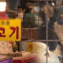 종식2농장 노컷뉴스