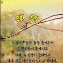 11월12일수요일 출석부 이미지