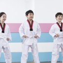 한국체대 건강한태권도 이미지