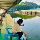 배다리낚시터 이미지