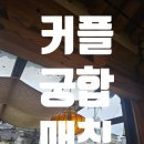 애플결혼정보 이미지