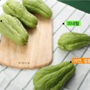 평창농장 네이버블로그