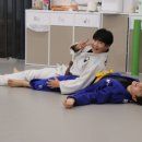 성남유도관 이미지