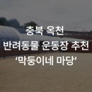 막둥이네마당