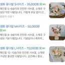 오슬로약국 | 동탄2꽃집 선물하기 좋은 꽃다발 추천 물올림 플라워