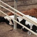 소사랑농장 이미지