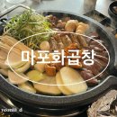 마포 화곱창 안중점 | 고양 삼송 곱창맛집 마포화곱창 내돈내산 후기