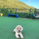 몽실이네 이미지