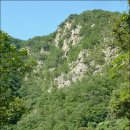 바람의노래 이미지