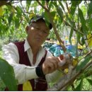 김창영농장 이미지