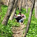 임실반디울농장 이미지