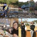 남북사랑결혼정보 이미지