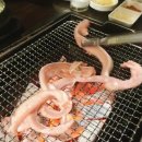 바다장어산꼼장어 이미지