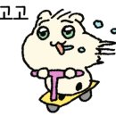 진이네식당 - 파주시 | 진이네식당