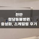 청당동물의료센터 | [내돈내산] 청당동물의료센터 밍밍이 중성화+스케일링 후기