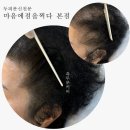 마음에 점을 찍다 이미지