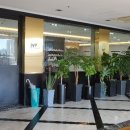 아이비이비인후과의원 이미지