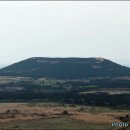 표선면-13 이미지