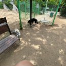 멍바라기 이미지