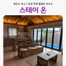 스테이마농 | 제주도 감성 숙소 독채 풀빌라 추천 스테이 온