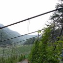 천혜농장 이미지