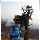 신내동-017 이미지