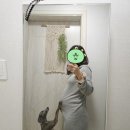 행정32 | 향남 해피본 산부인과 28주~32주 철분주사 후기