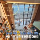 나리정보화마을 2층 | 부산 크리스마스 마켓 여행 힐튼 빌라쥬 드 아난티 호텔 호캉스