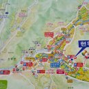 구례 산수유 마을 산수유축제,화개장터, 흥부투어로 다녀온 후기2