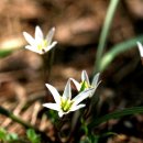 내면의 바다 이미지