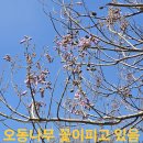 후모텔 이미지