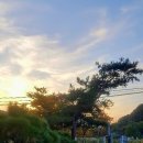 푸르내 이미지