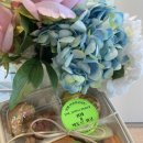 8월 브런치 콘서트 문학, 음악으로 만나다 2 괴테&빅토르 위고 이미지