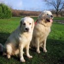 경호목장 이미지