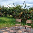 남원읍-123 이미지