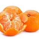 별하 합기도 교육관 이미지