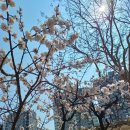 이윤호행정사무소 이미지