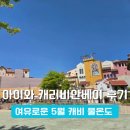 캐리비안 | 아이와 즐기는 한적한 5월 캐리비안베이 방문 후기