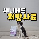 좋아서하는 동물병원 | 강아지 프리미엄 동물병원 처방 사료 세니메드 급여후기