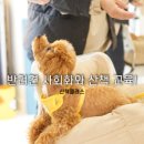 오십케이클래스