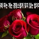 원례 무는 개는 경망스럽게... 이미지