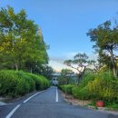 에스페란사골프클럽 이미지