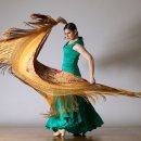 Sarasate: Spanish Dances op.22-1 Romanza Andaluza(이보경) 이미지
